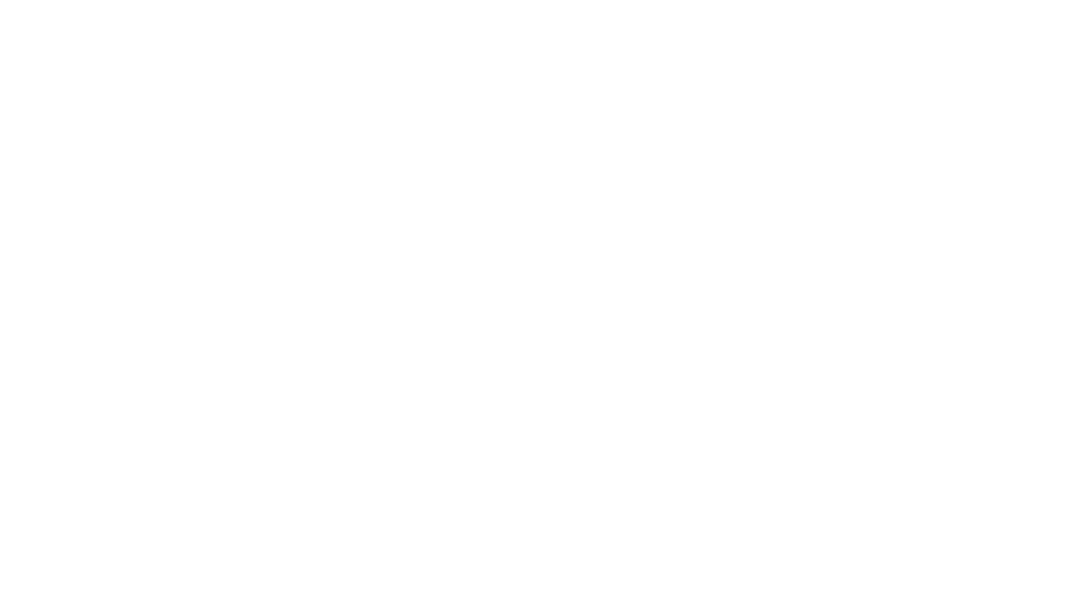 logo not found